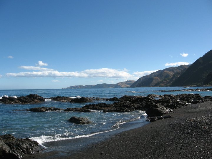 South Island Beach - Scenery, New Zealand | Beach | Sea | Water | Ocean | Scenery