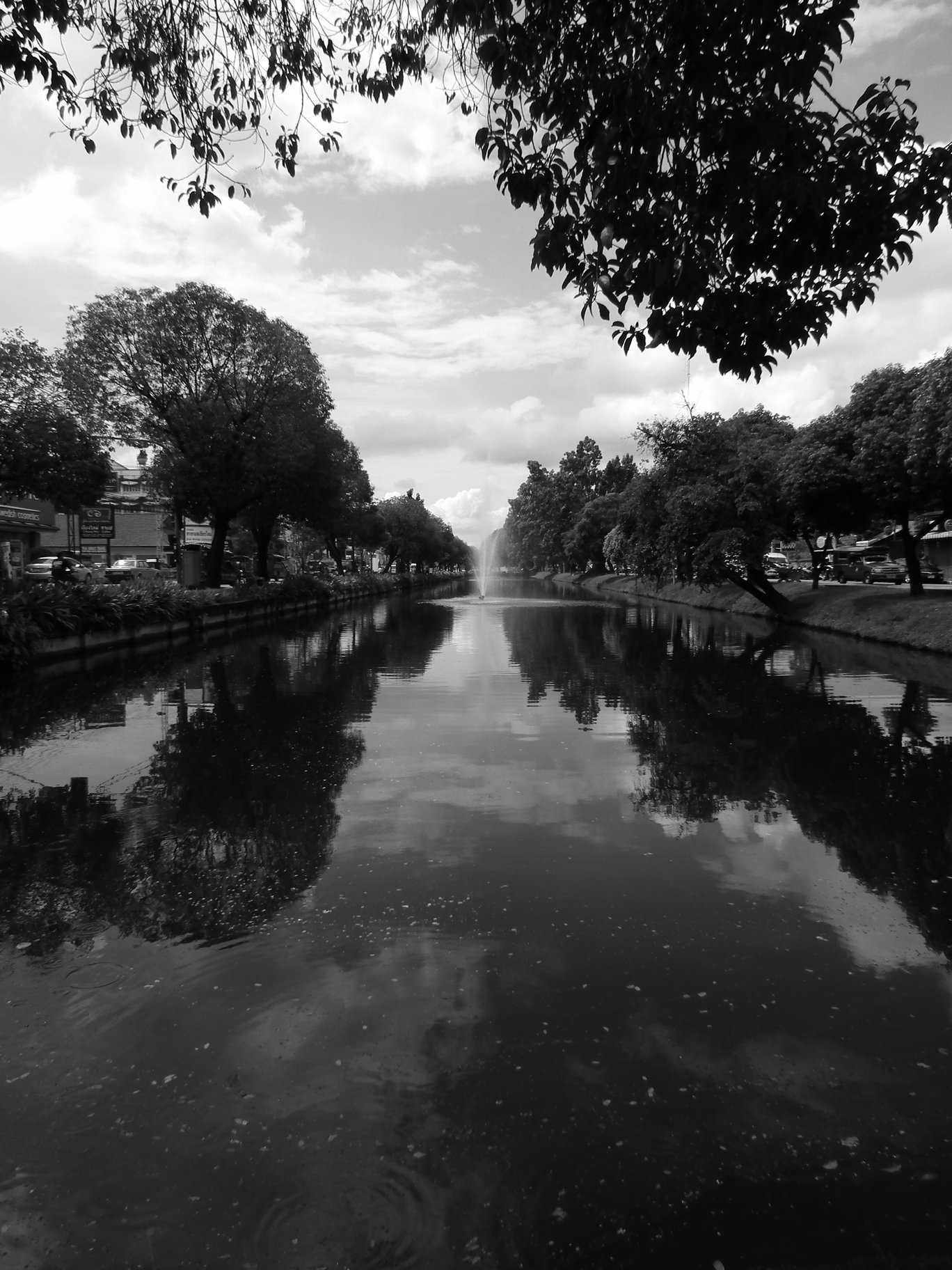 Reflections On The River - Scenery, Water | River | Tree | Sky | Cloud | Black and White