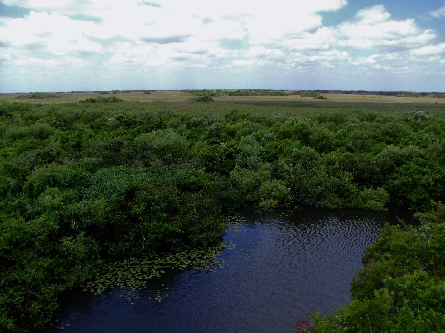 Everglades Park