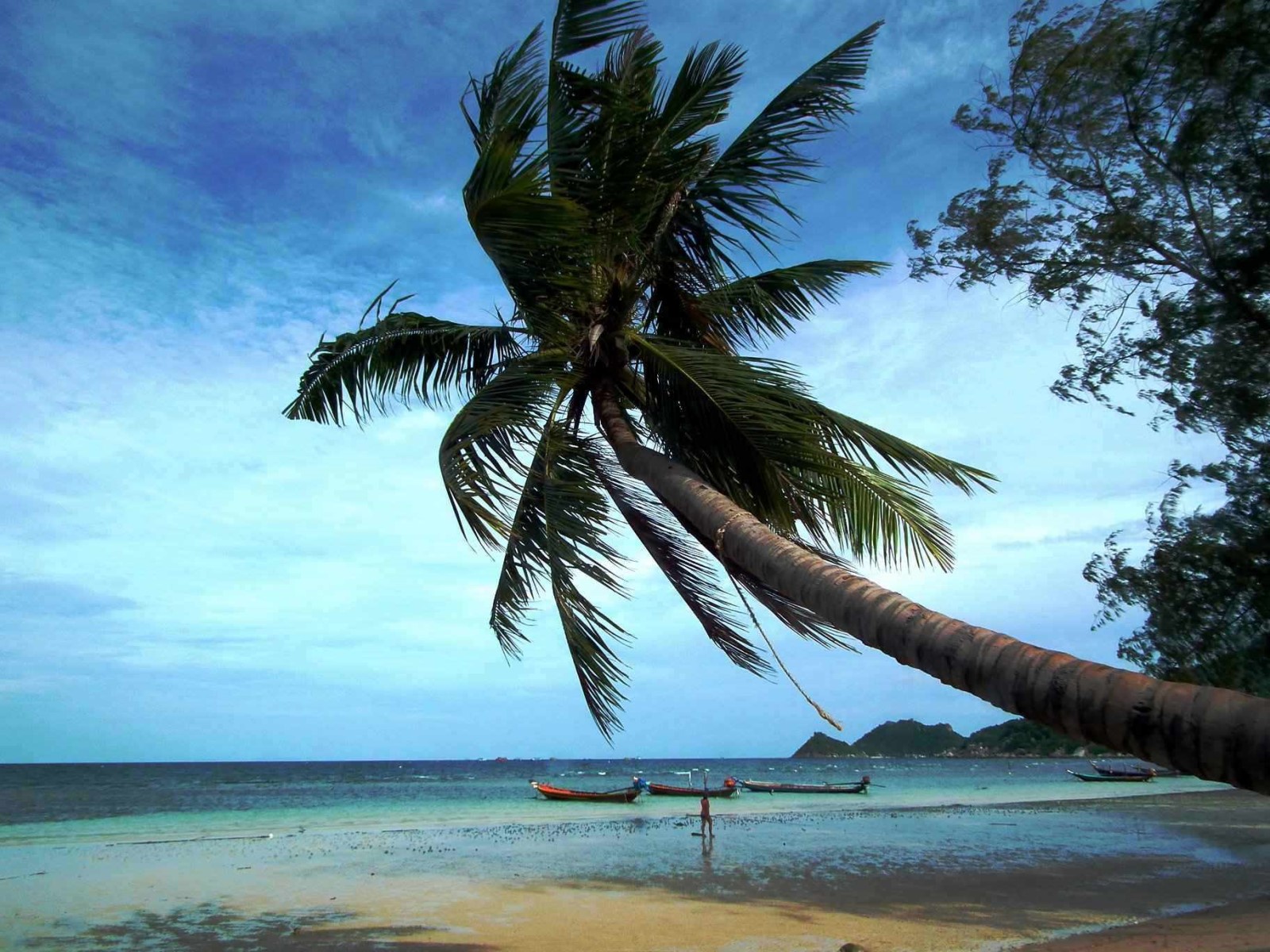 Paradise Beach, Paradise | Palm | Sand | Ocean | Beach | Sea | Thailand | Scenery