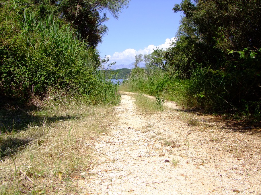 Sandy Path, Path | Sea | Water | Ocean | Blue | Tree | Summer | Scenery | Olive