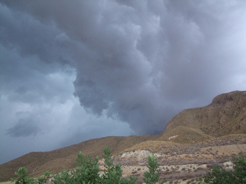 Cumulonimbus cloud, Cloud | Weather | Storm | White | Tree | Thunder | Rain