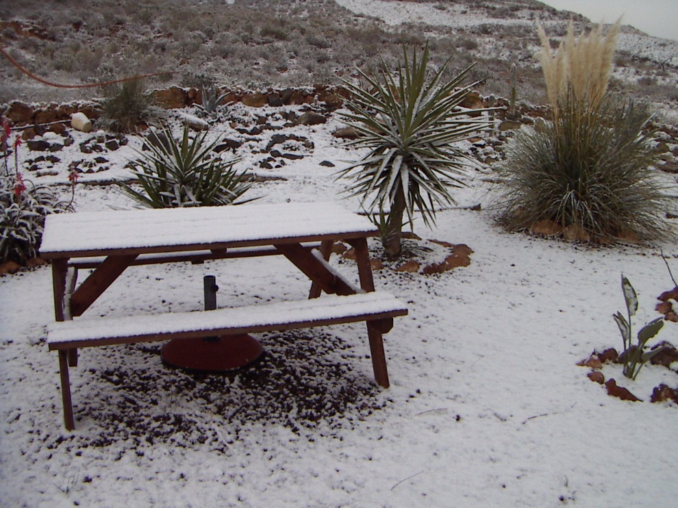 Alfresco In The Snow, Al Fresco | Snow | Weather | Winter | Cold | Picnic | White | Scenery