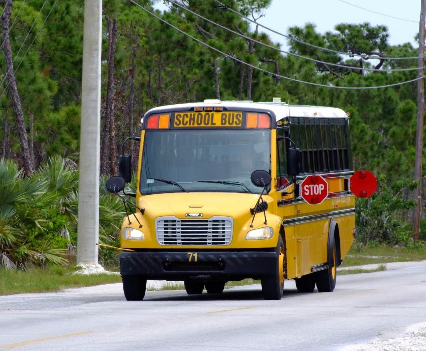 School Bus, Bus | Yellow | School | Road | USA | Transport