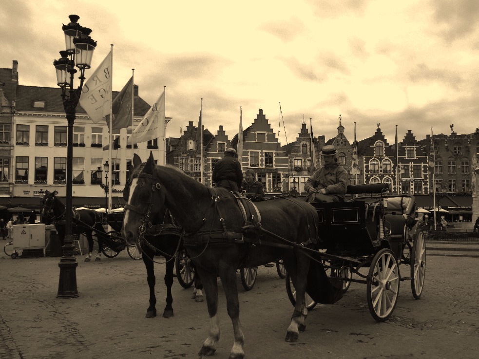 Horse Drawn Carriage, Animal | Horse | Carriage | Street | Transport | City | People