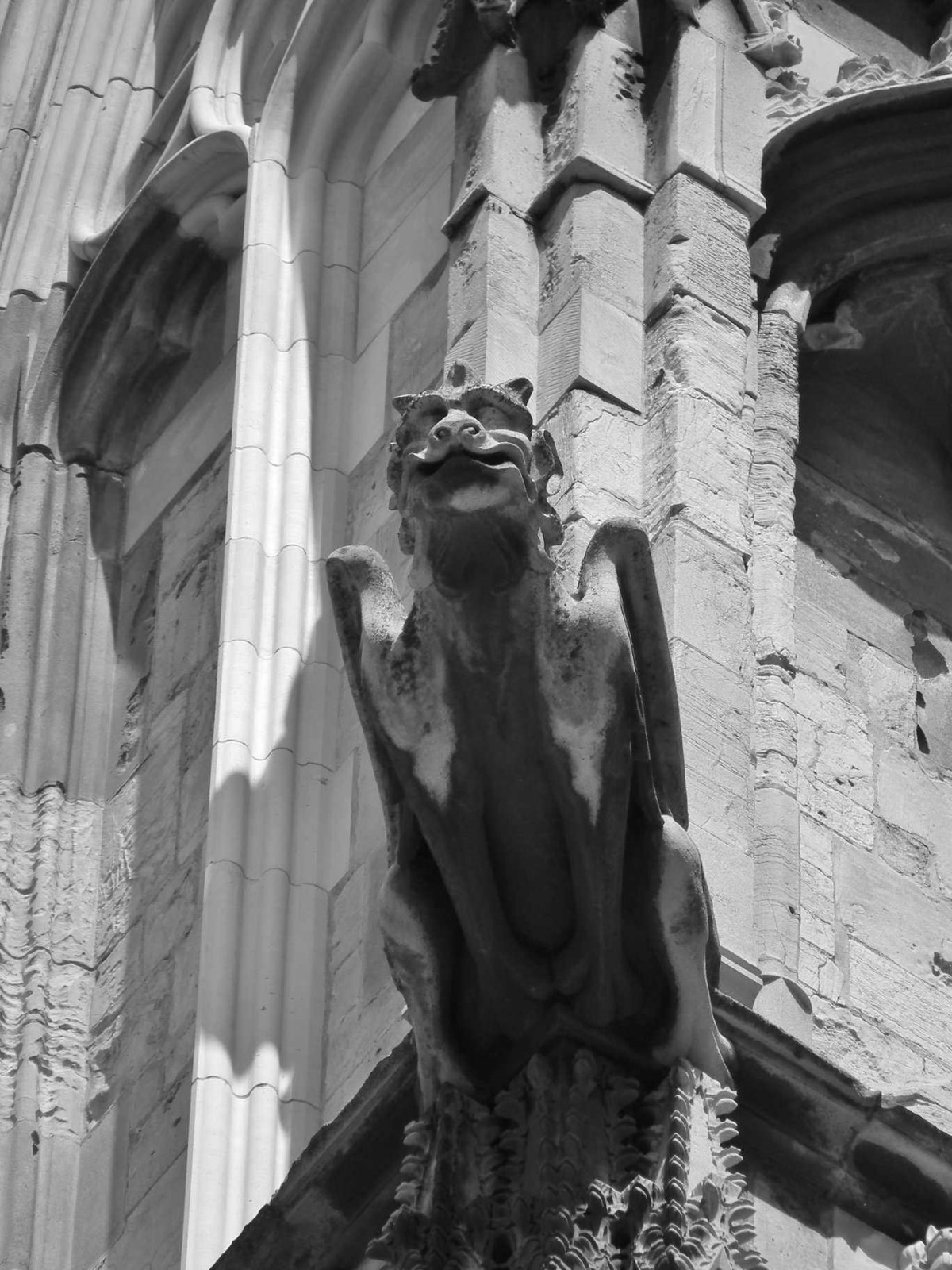 Gargoyle, Object | Gargoyle | Stone | Architecture | Cathedral
