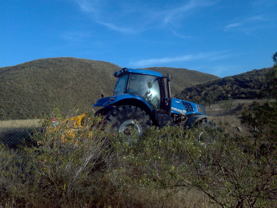 Blue Tractor, Spain | Countryside