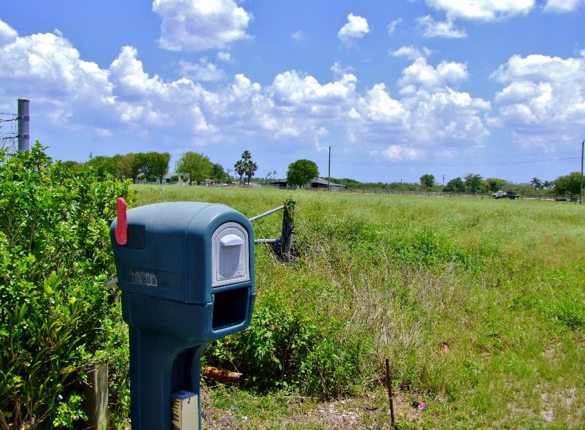 Mailbox, Mailbox | Rural | Countryside | USA | Tree | Grass | Postbox | History