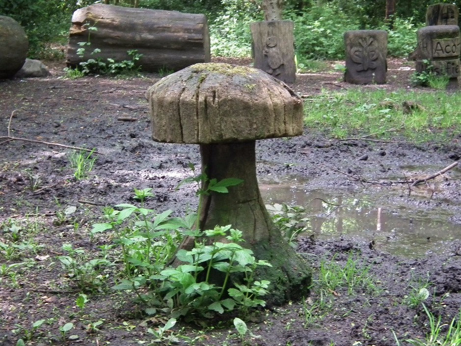 Wooden Toadstool, Wood | Forest | Tree | Mushroom | Toadstool | Seat | Earth | Water | Leaves