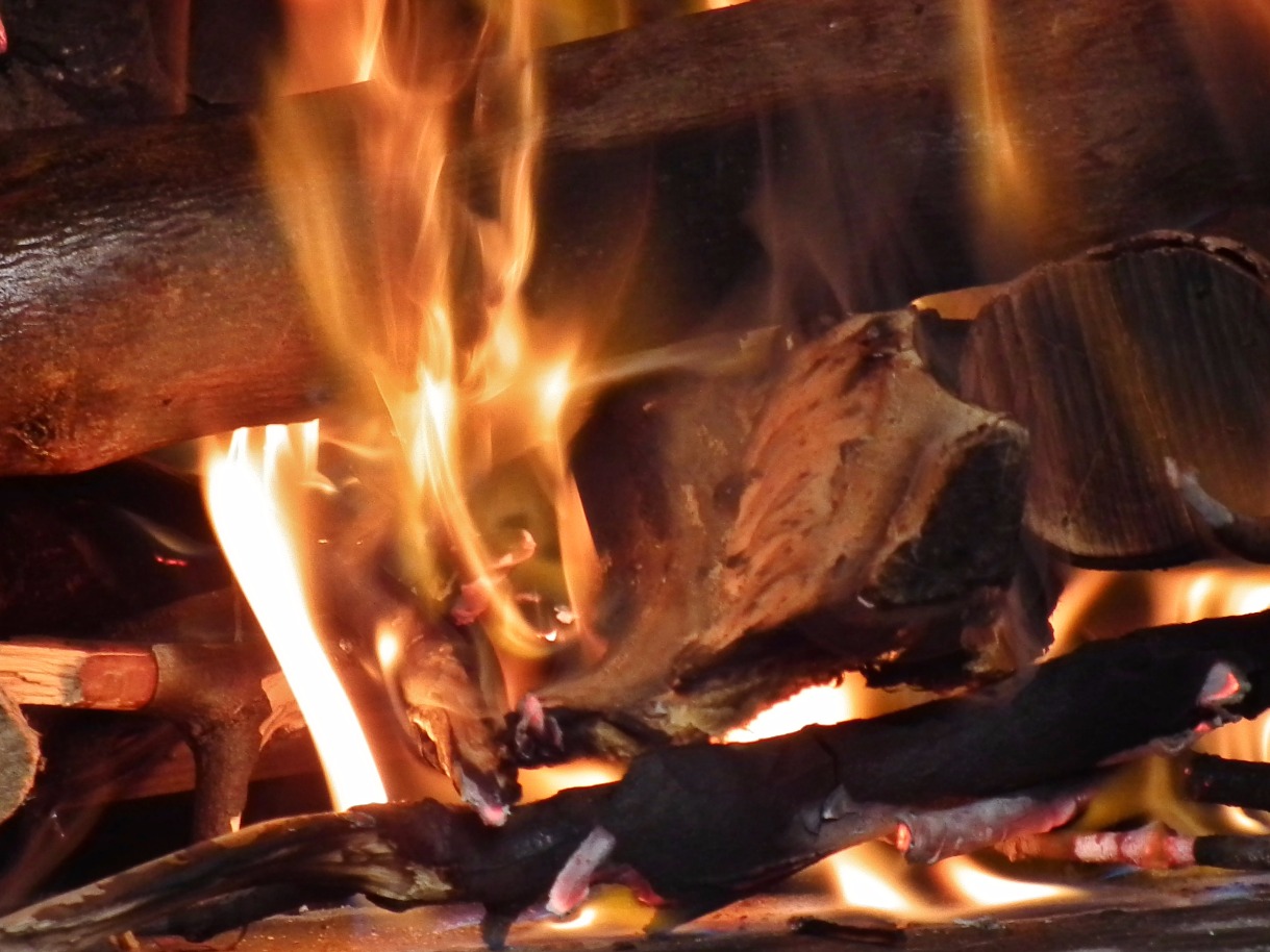 Burning Logs, Fire | Log | Winter | Wood | Warm | Warmth | Flame | Red | Orange | Heat | Object