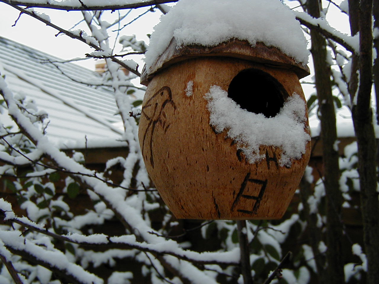 Bird House, Bird | Birds | House | Coconut | Snow | Snowmen | White | Weather | Winter | Cold | Nature | Object