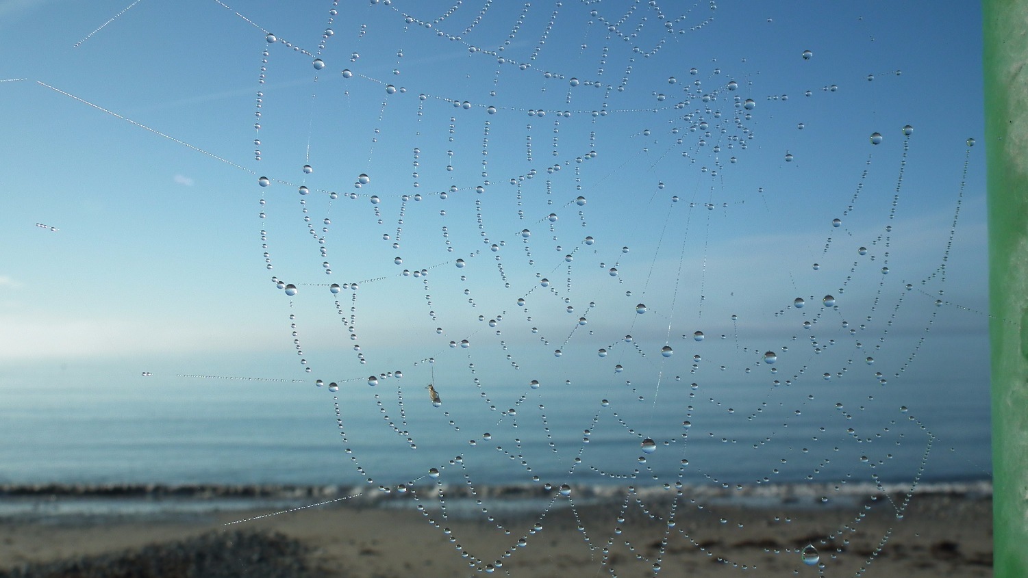 Spiders web, Spider | Web | Beach | Ocean | Sea | Sky | Blue | Cloud | Insect | Creations