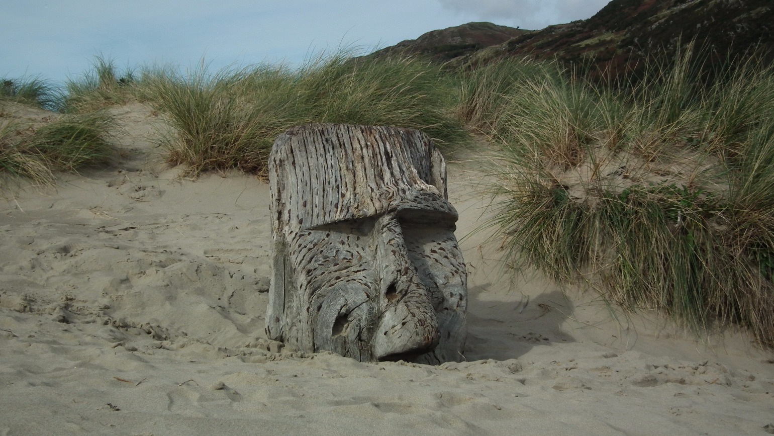 Wood Carving, Wood | Dried | Art | Artist | Beach | Dunes | Statue | Sand