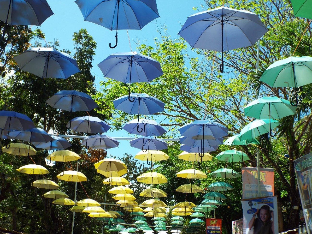 Umbrellas, Colour | Umbrella | Summer | Sun | Sunlight | Sunshade | Sunshine | Blue | Yellow | Green | Sky | Street | Object