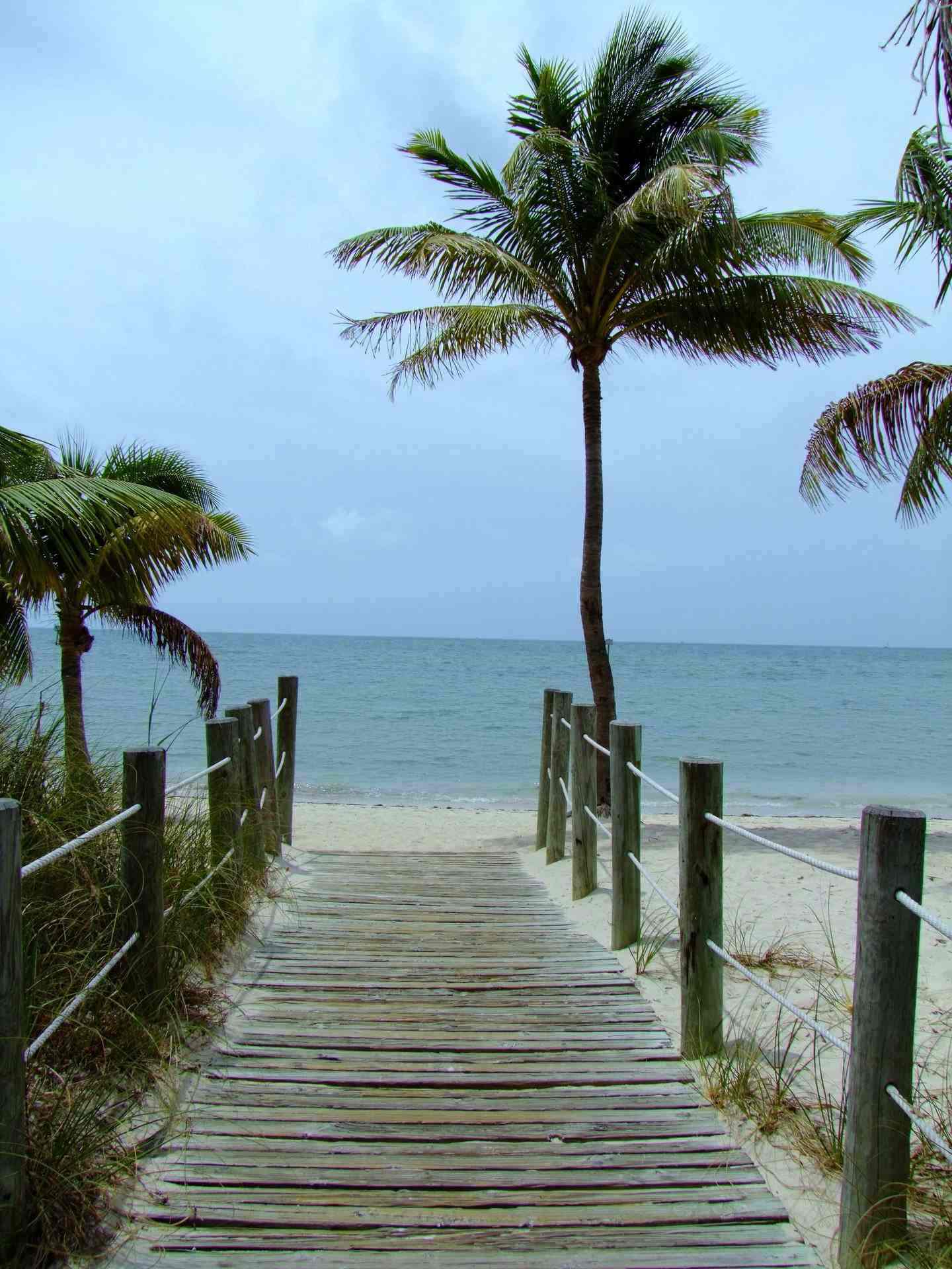 Beachtime - Seasons, Beach | Boardwalk | Sea | Season | Summer | Sunshine | Florida