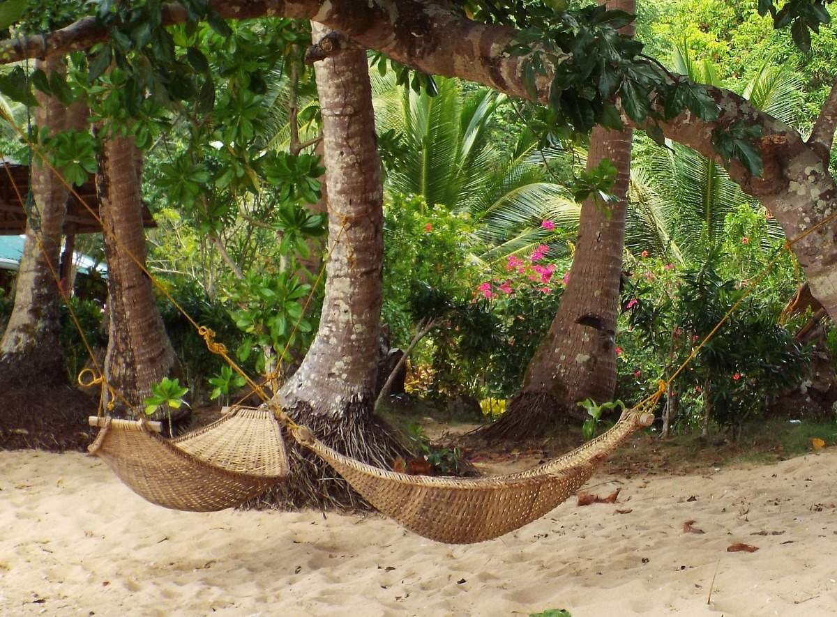 Hammock Time, Hammock | Beach | Palm | Plant | Sand | Flower | Tree | Relax | Summer | Season | Sleep | Leaf | Leaves