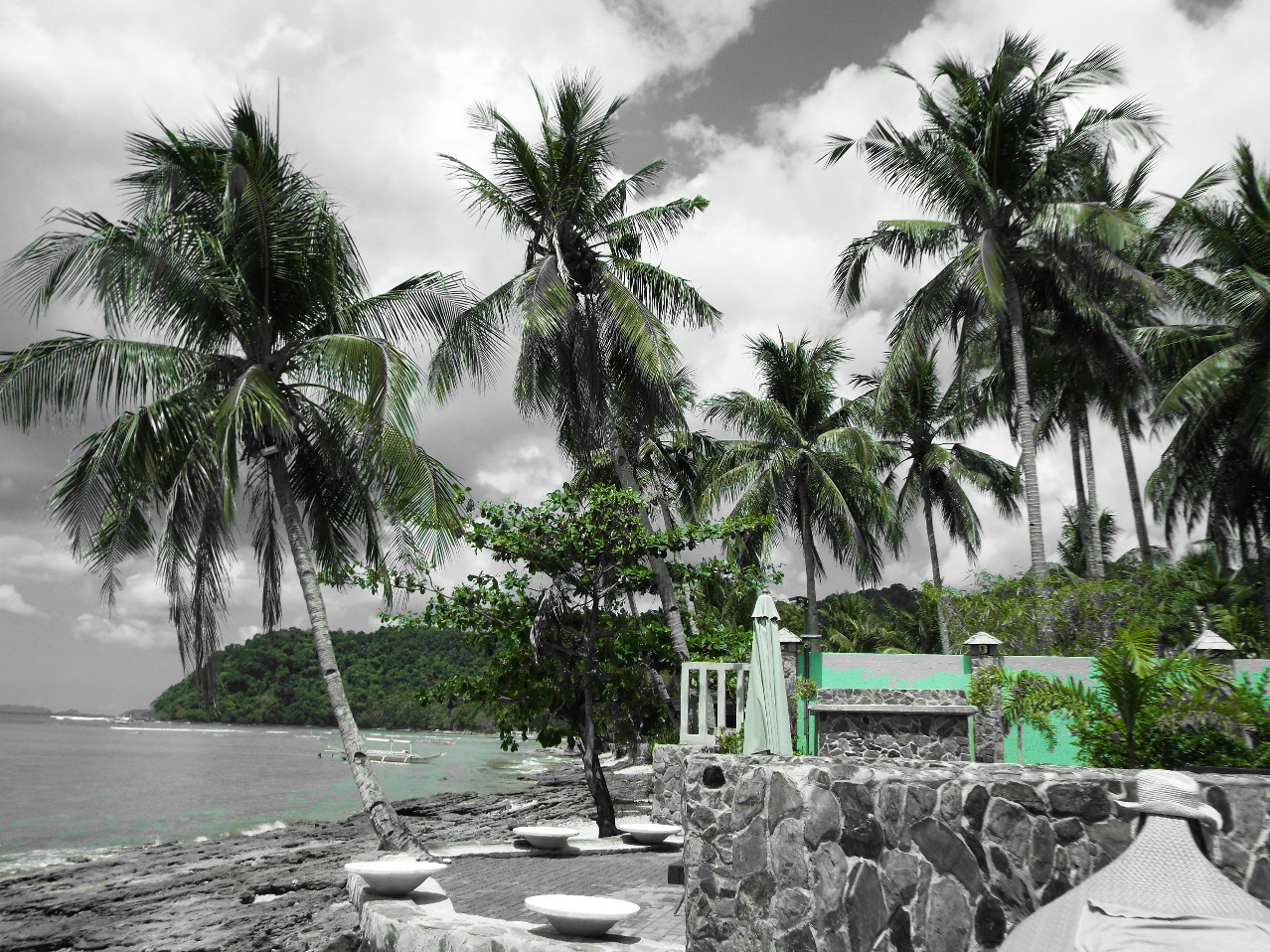 Looking Green , Green | Beach | Palm | Palawan | Tree | Sea | Season | Ocean | Bench | Travel | Summer | Boardwalk | Boat | Boats