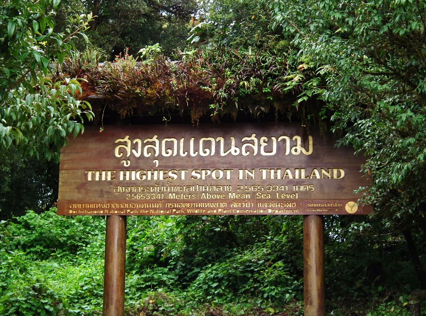 Doi Inthanon, History | Mountain | Places | King | Thailand | Green | Tree
