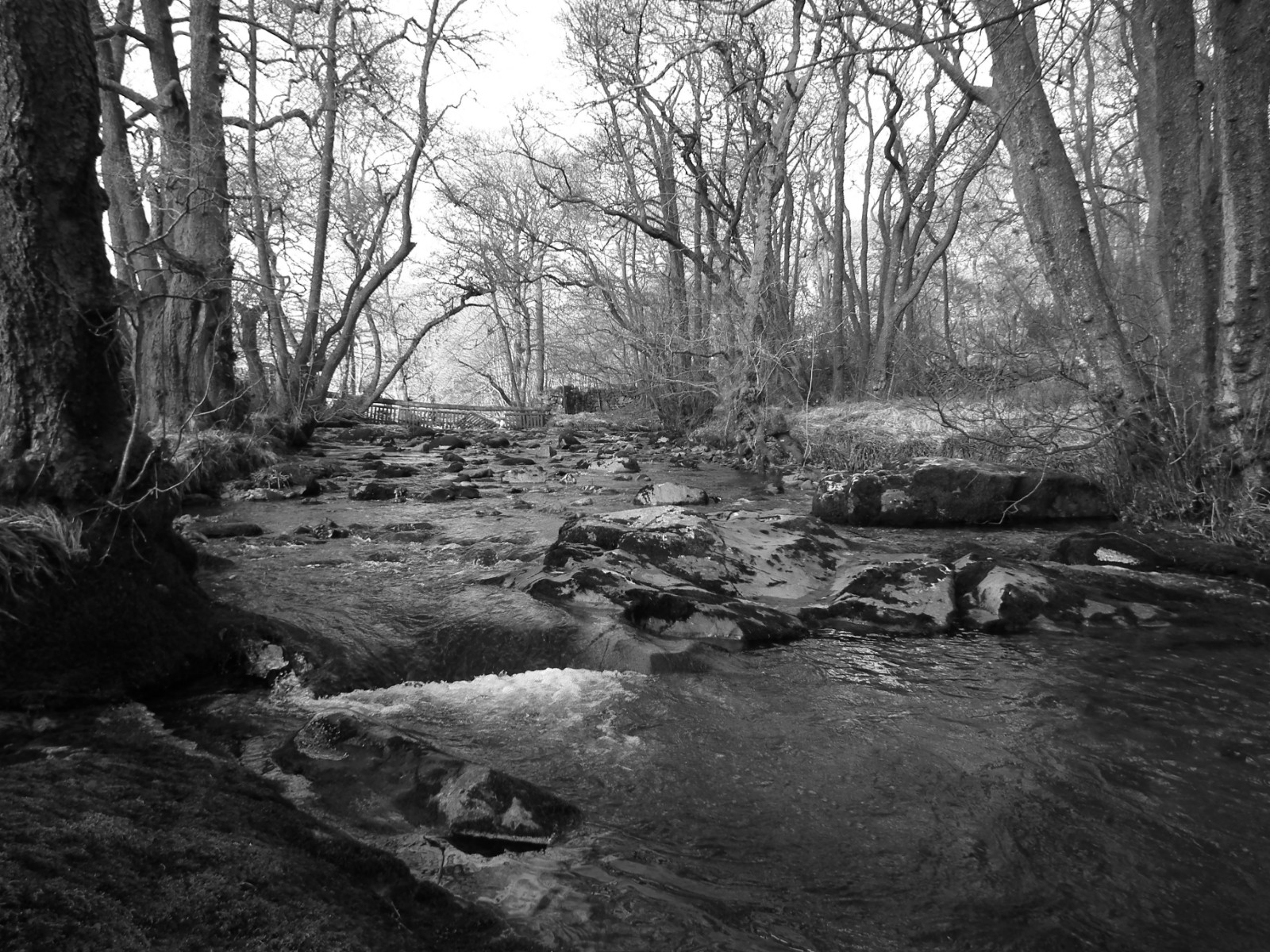 Trickling stream, Stream | Water | Waterfall | Black | Black and White | Tree | Scenery | Rock | Lake District