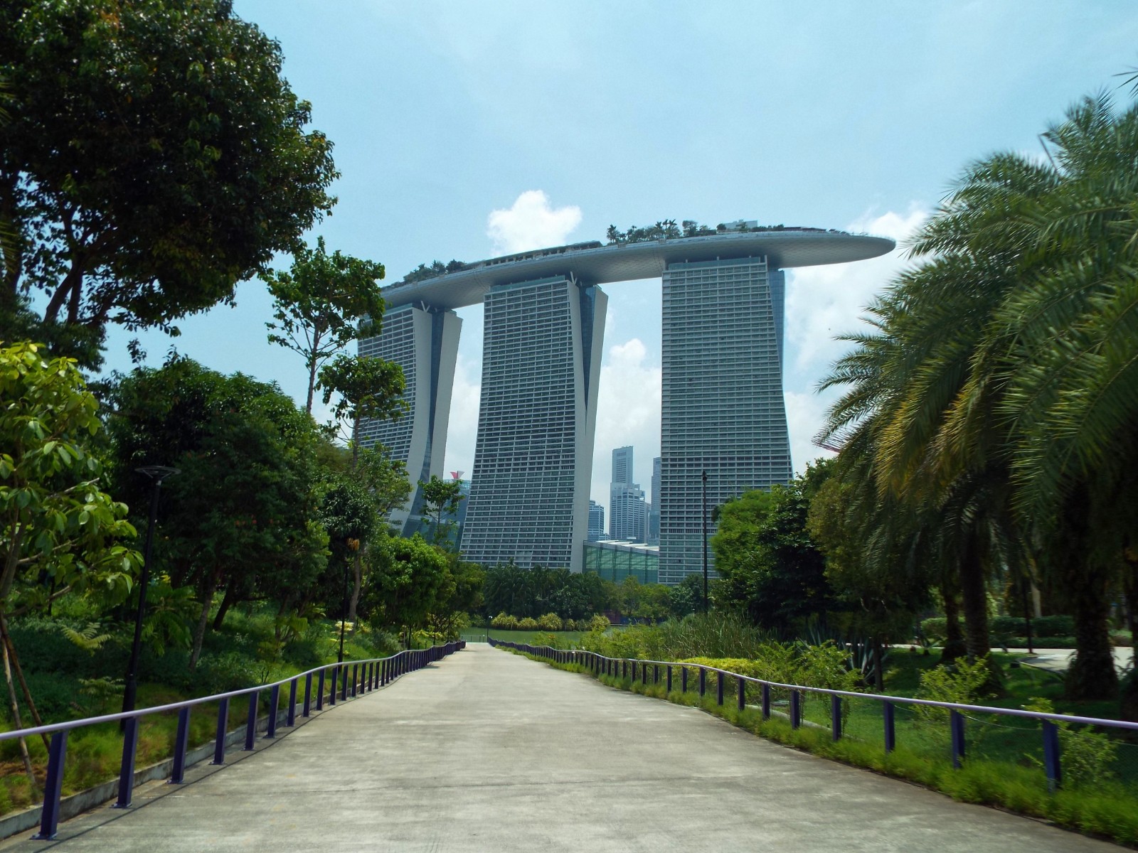 Marine bay sands hotel, Hotel | Singapore | Bay | Marine | Architecture | Building | City | Structure | Glass | Metal | People | Garden | Path | Tree | Green