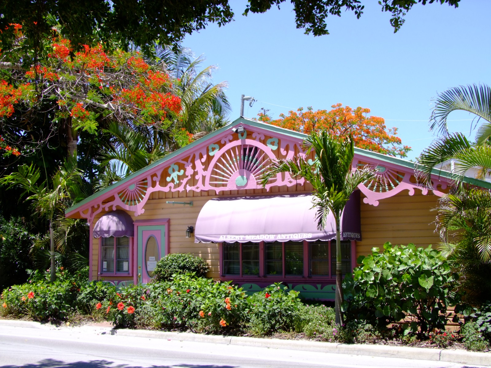 Pretty in pink, Gifts | Shop | Pink | Orange | Yellow | Blue | Sky | Island | Florida | Travel | Flowers | Tree