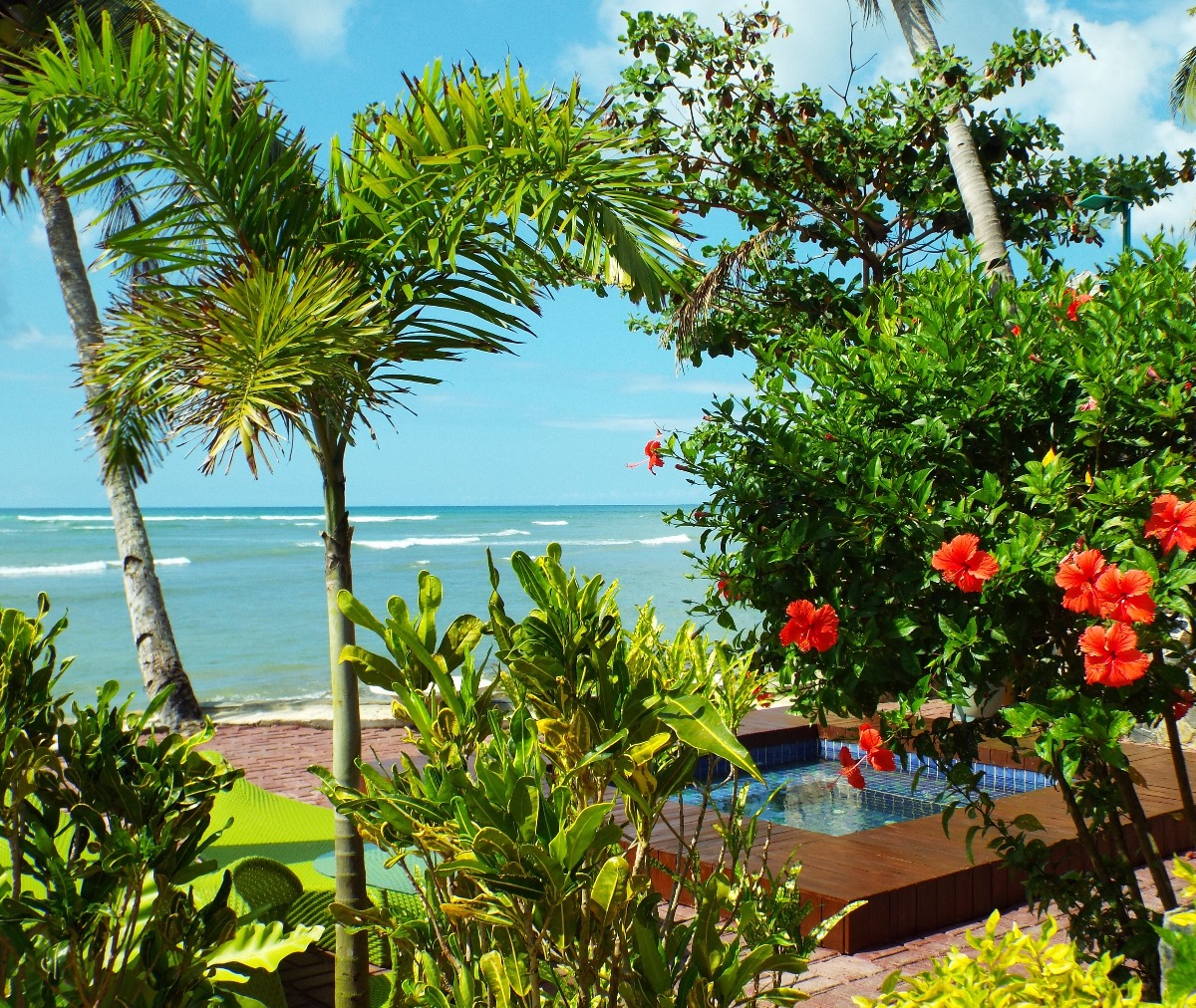 Beach View Gardens, Beach | Garden | Scenery | Scent | Scented | Flowers | Red | Blue | Sea | Season | Ocean | Water | Hottub | Green | Tree | Tropical | Summer