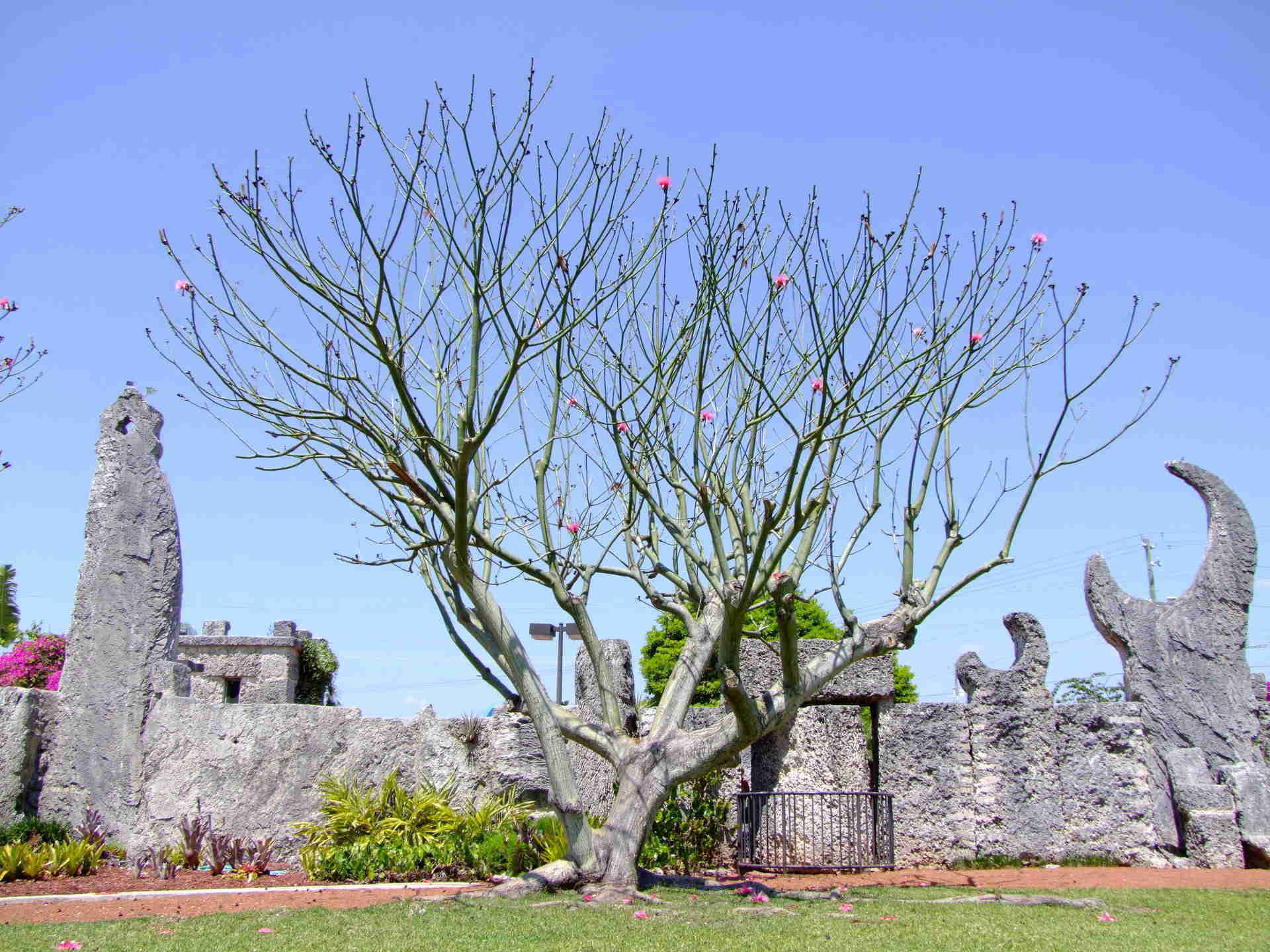 Outside Coral Castle  - Architecture, Blue | Architecture | Tree | Stone | Coral | Castle | People