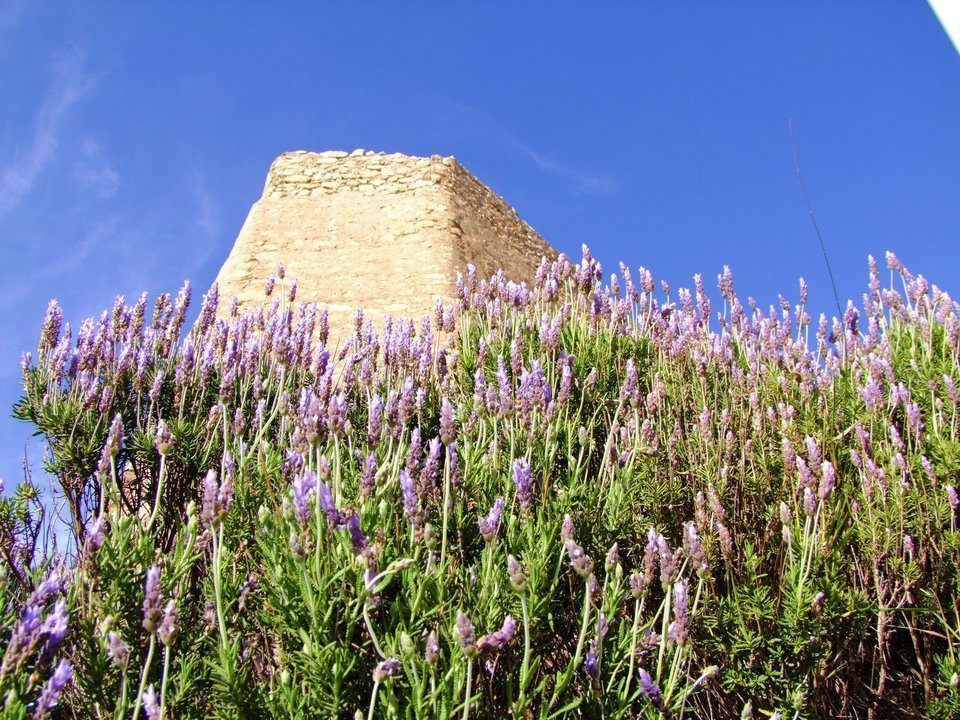 Aroma Of Lavender - Architecture, Flower | Architecture | Blue | Castle | Spain