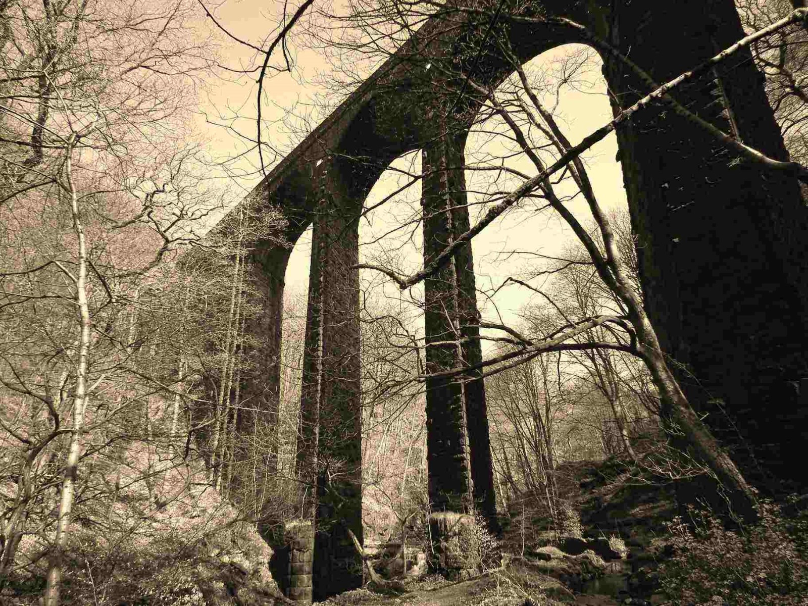 Healey Dell Viaduct
