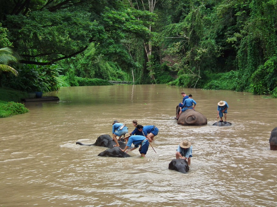 Elephants River Bathing, African | Animal | Elephant | River | People | Water | Bathing | Travel | Thailand