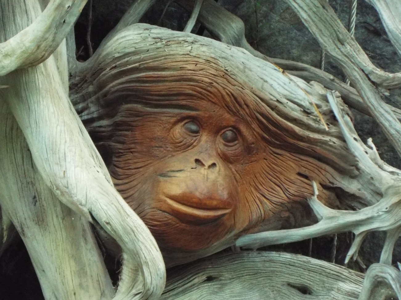 Wood Carved Monkey, Architecture | Carving | Wood | Animal | Monkey | Eyes | Singapore | Creations