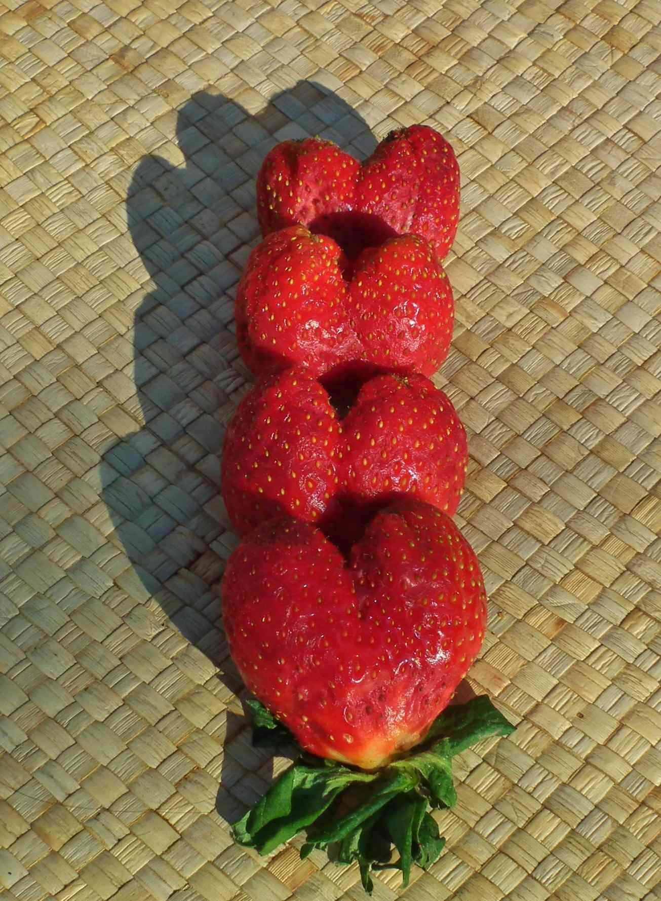 Love Strawberries - Food & Drink, Fruit | Strawberry | Red | Healthy | Love | Heart
