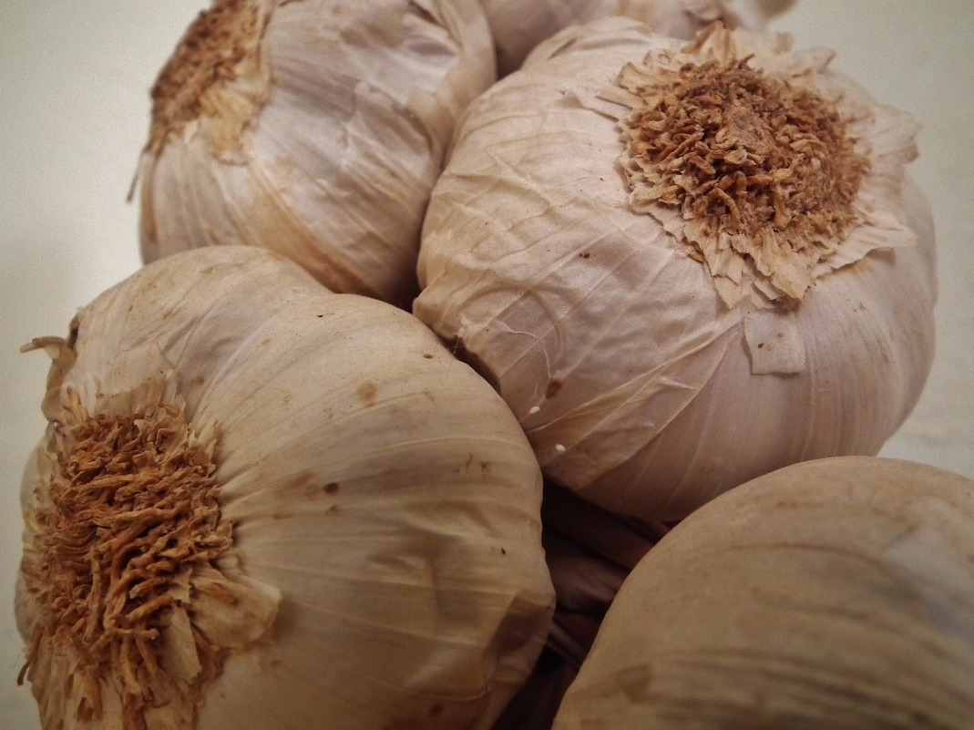 Garlic Bulbs, Food | Cooking | Healthy | Tasty | Herb | Asia