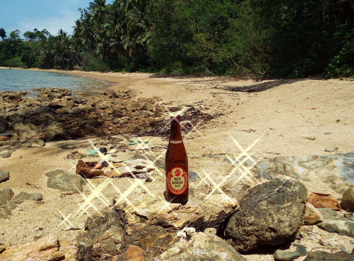Red Horse, Beer | Bottle | Beach | Brown | Sand | Sea | Water | Red | Horse | Asia | Travel | Drink
