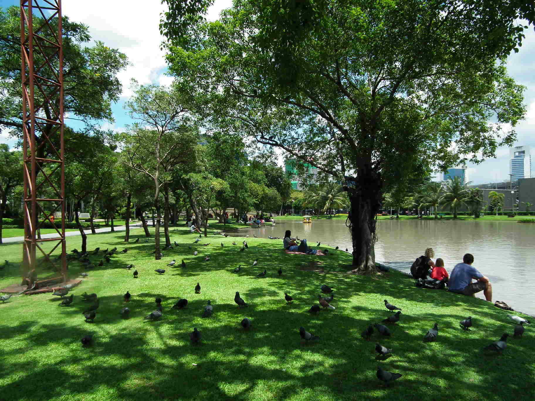 Picnic In The Park - Activities, Picnic | River | Grass | People | Water | Park | Summer | Scenery