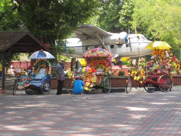 Floral Rickshaw, Cycle | Transport | Wheel | Flower | People | Asia | Bike