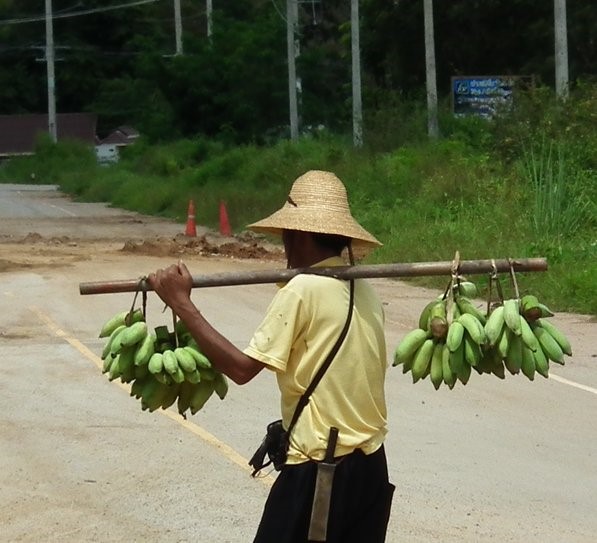 Banana Carrier, Men | Fruit | Yellow | Thailand | People