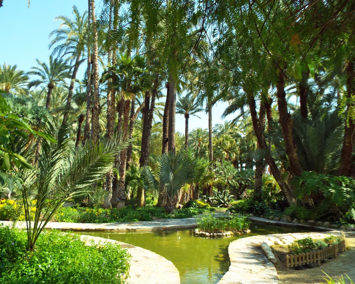Elche city of palms